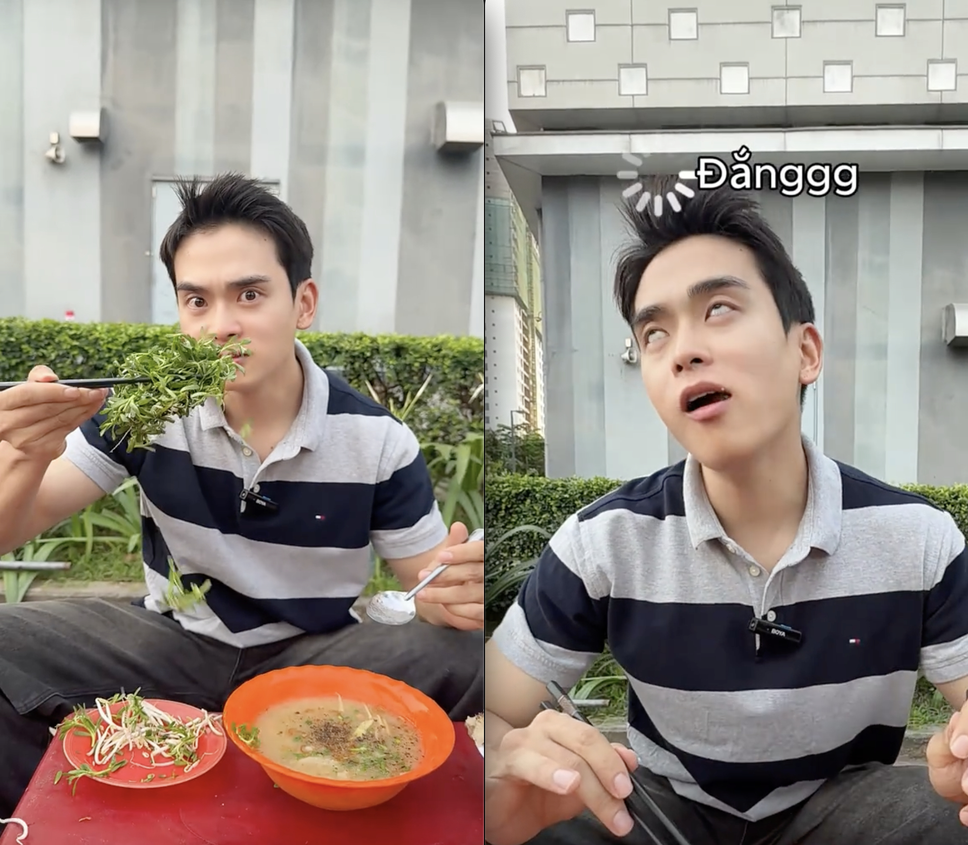 Loại rau đắng ngắt của miền Tây khiến khách Hàn vừa thử đã nghiện: "Ở Hàn Quốc không có hương vị này"