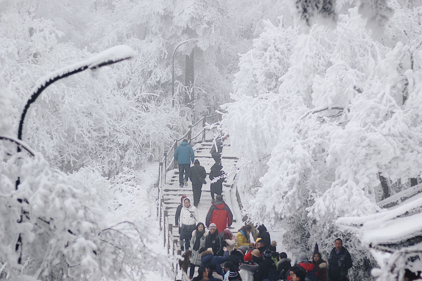 Khách Việt bị yêu cầu giấu túi nilon đi khi du lịch Trung Quốc, lý do phía sau khiến ai cũng lạnh sống lưng Khách Việt bị yêu cầu giấu túi nilon đi khi du lịch Trung Quốc, lý do phía sau khiến ai cũng lạnh sống lưng