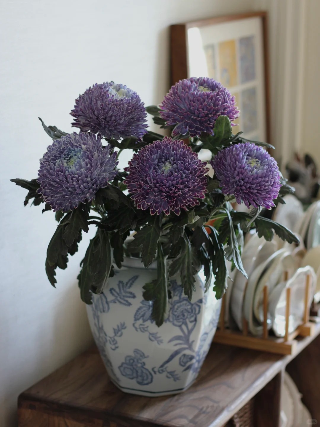 Không phải mẫu đơn, cũng chẳng phải cúc thường: Loài hoa lạ đang khiến chị em lùng sục để "đổi gió" bàn trà ngày Tết