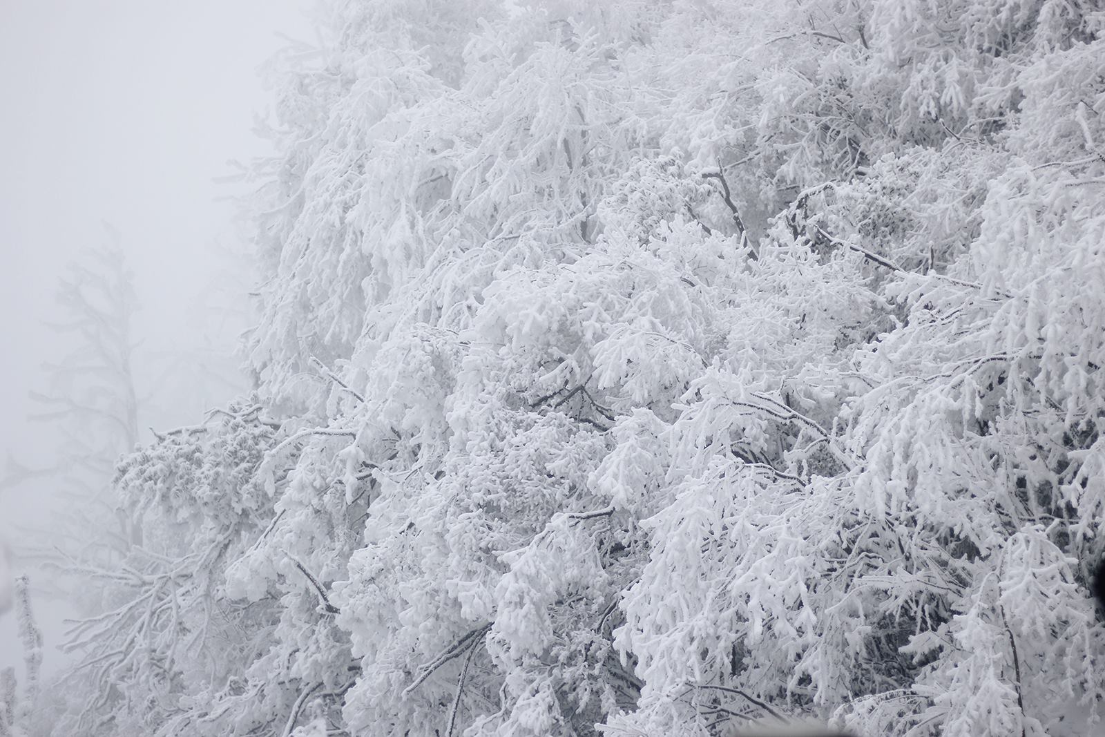 Khách Việt bị yêu cầu giấu túi nilon đi khi du lịch Trung Quốc, lý do phía sau khiến ai cũng lạnh sống lưng Khách Việt bị yêu cầu giấu túi nilon đi khi du lịch Trung Quốc, lý do phía sau khiến ai cũng lạnh sống lưng