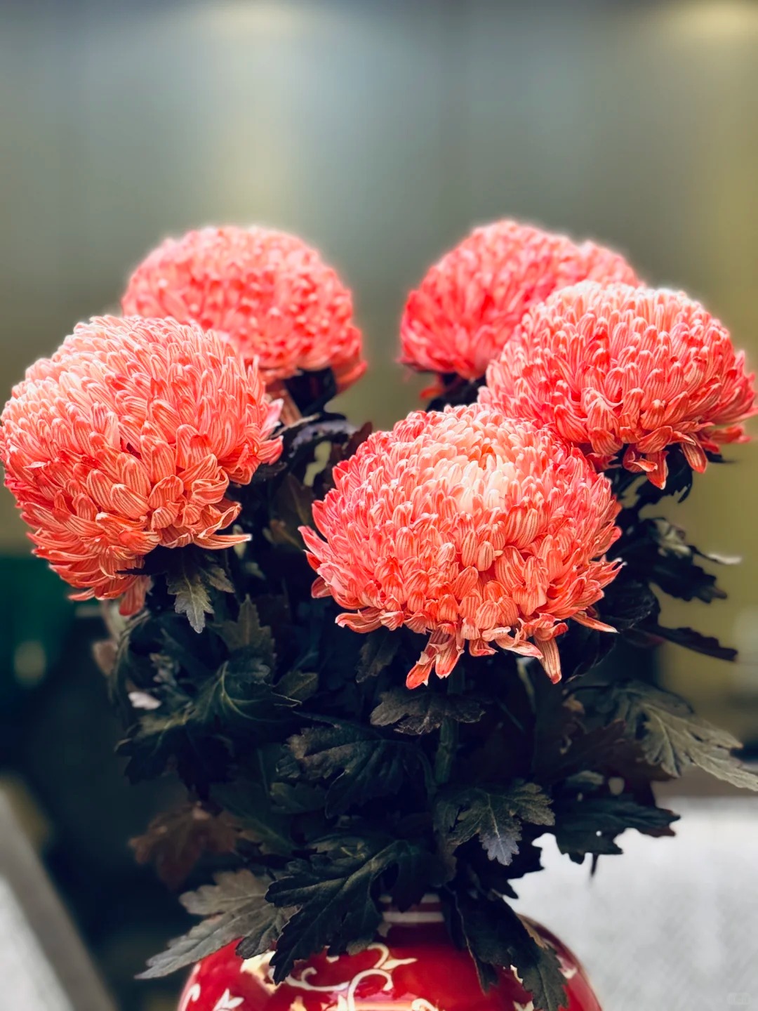 Không phải mẫu đơn, cũng chẳng phải cúc thường: Loài hoa lạ đang khiến chị em lùng sục để "đổi gió" bàn trà ngày Tết