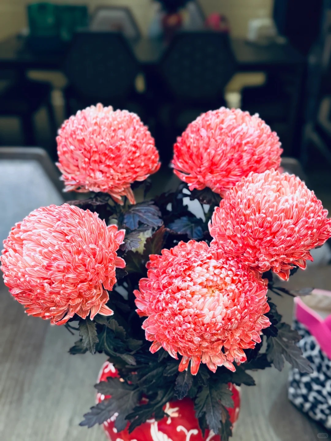 Không phải mẫu đơn, cũng chẳng phải cúc thường: Loài hoa lạ đang khiến chị em lùng sục để "đổi gió" bàn trà ngày Tết