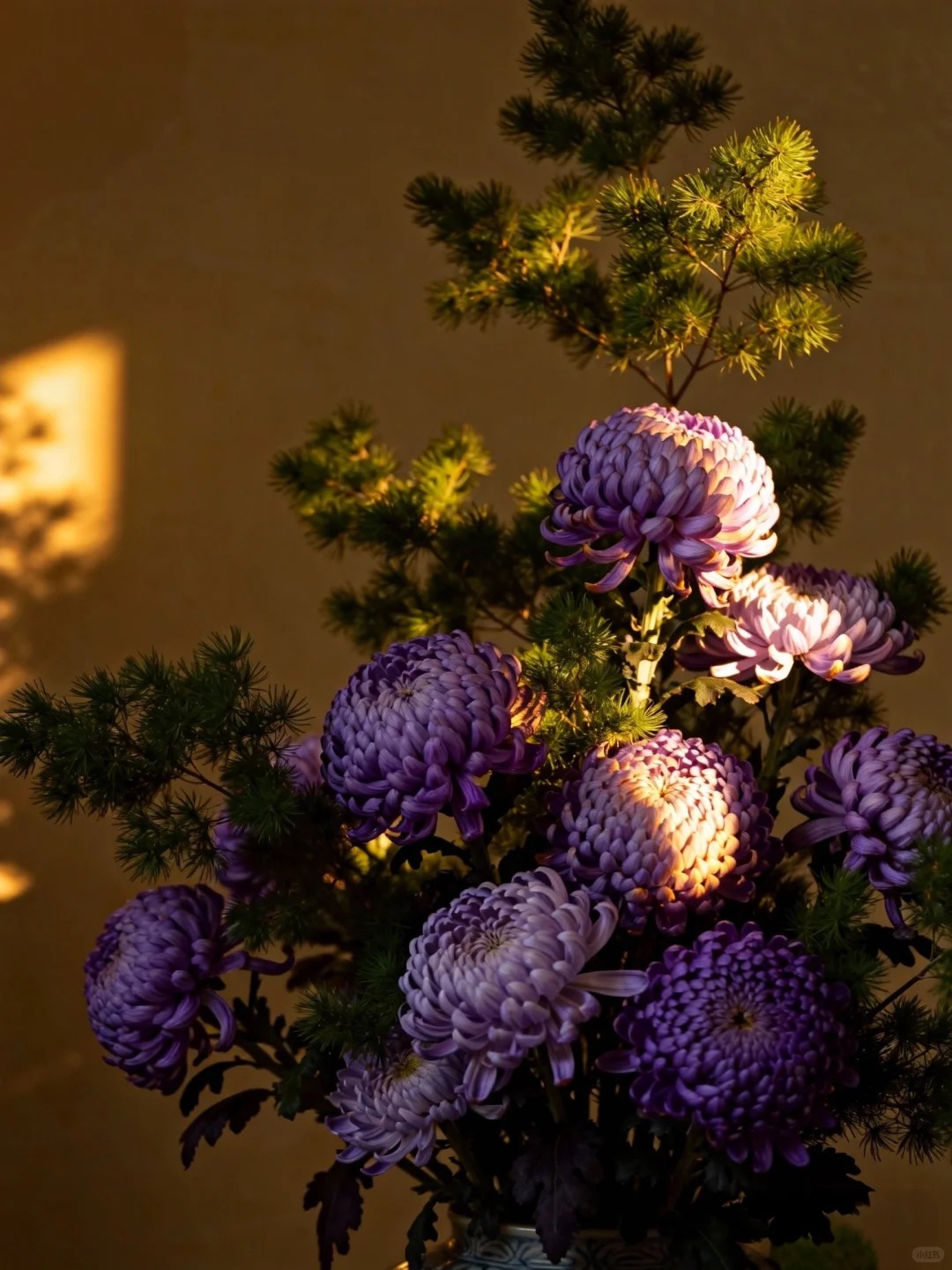 Không phải mẫu đơn, cũng chẳng phải cúc thường: Loài hoa lạ đang khiến chị em lùng sục để "đổi gió" bàn trà ngày Tết