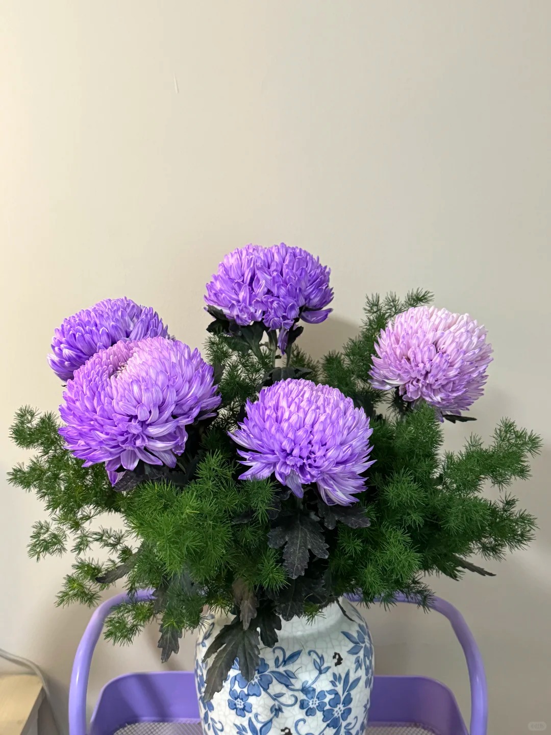 Không phải mẫu đơn, cũng chẳng phải cúc thường: Loài hoa lạ đang khiến chị em lùng sục để "đổi gió" bàn trà ngày Tết