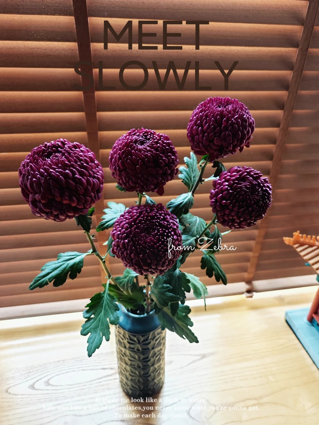 Không phải mẫu đơn, cũng chẳng phải cúc thường: Loài hoa lạ đang khiến chị em lùng sục để "đổi gió" bàn trà ngày Tết