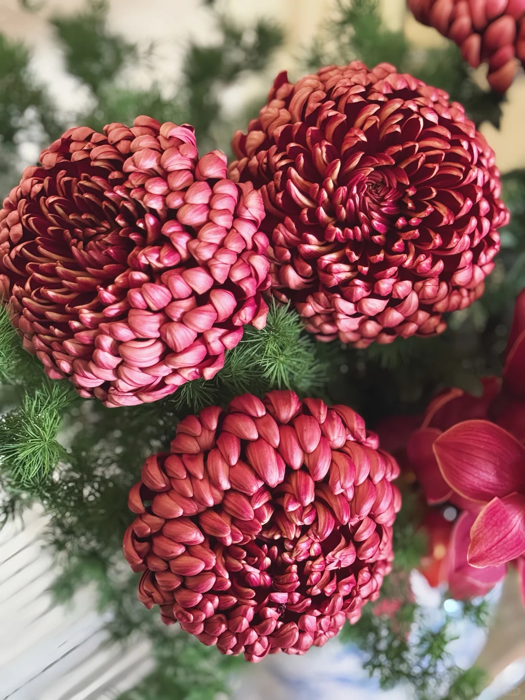 Không phải mẫu đơn, cũng chẳng phải cúc thường: Loài hoa lạ đang khiến chị em lùng sục để "đổi gió" bàn trà ngày Tết