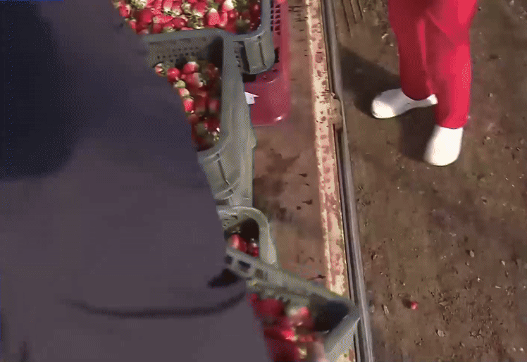 Hàn Quốc ngay lúc này: Cảnh tượng khiến hàng nghìn người đứt ruột tiếc nuối Hàn Quốc ngay lúc này: Cảnh tượng khiến hàng nghìn người đứt ruột tiếc nuối