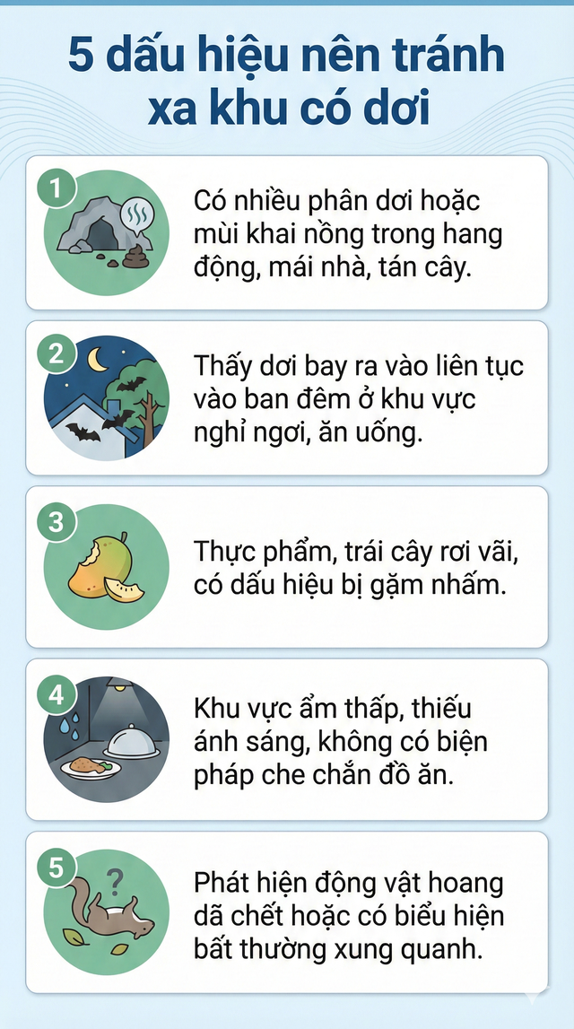 Cảnh báo: Tìm thấy loài dơi mang virus Nipah nhiều nhất ở nơi này - Có người chủ quan thường tới, ngủ lại Cảnh báo: Tìm thấy loài dơi mang virus Nipah nhiều nhất ở nơi này - Có người chủ quan thường tới, ngủ lại