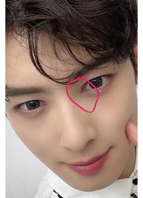 "Thiên tài khuôn mặt" Cha Eun Woo bị nghi phẫu thuật thẩm mỹ: Tài sản quý nhất cũng là giả?