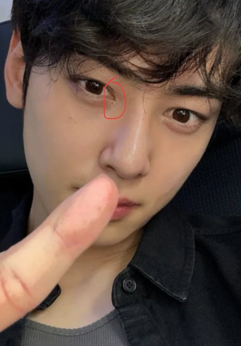 "Thiên tài khuôn mặt" Cha Eun Woo bị nghi phẫu thuật thẩm mỹ: Tài sản quý nhất cũng là giả?