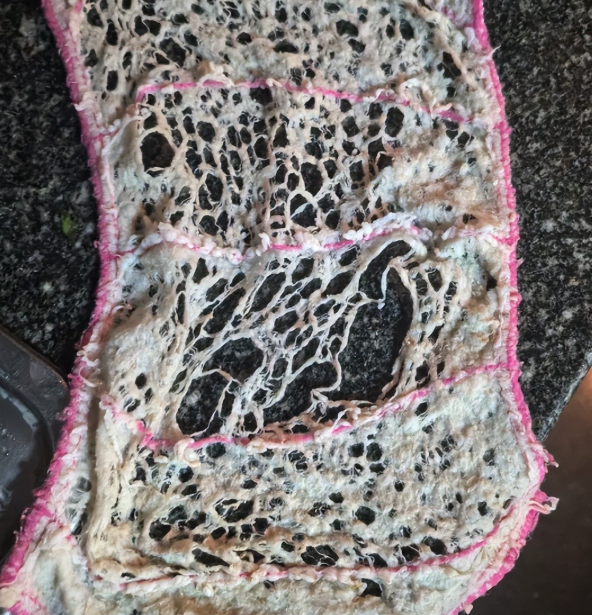 Nhìn thấy 8 món này trong bếp mà rùng mình: Trông vô hại nhưng chúng lại âm thầm bào mòn sức khỏe cả nhà