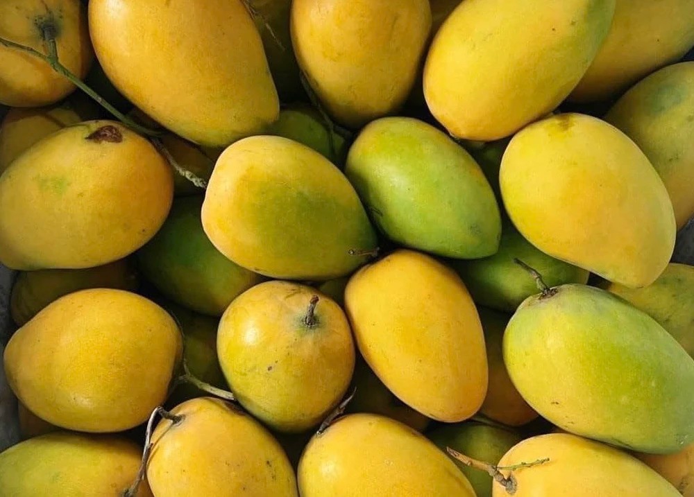 5 trái cây Tết NÊN mua: Đang “mùa vàng” giá rẻ, chợ nào cũng bán 5 trái cây Tết NÊN mua: Đang “mùa vàng” giá rẻ, chợ nào cũng bán